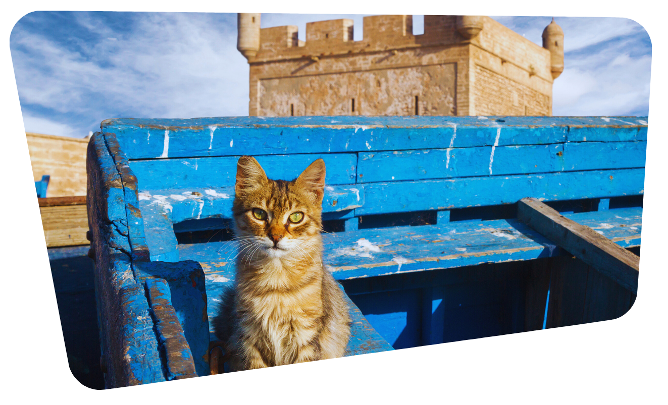 Essaouira Essaouira